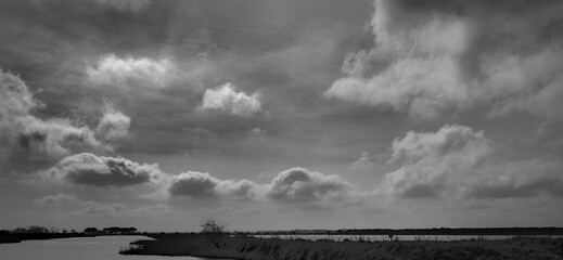 Area between Lido di Dante and Foce dei Fiumi uniti, Romagna. The place is a natural reserve with a nice pine forest. Beautiful clouds