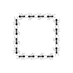 Ants road of square shape stop view design vector illustration isolated on white background. Trail line curve of ants bug in row. Pest control or insect searching illustration