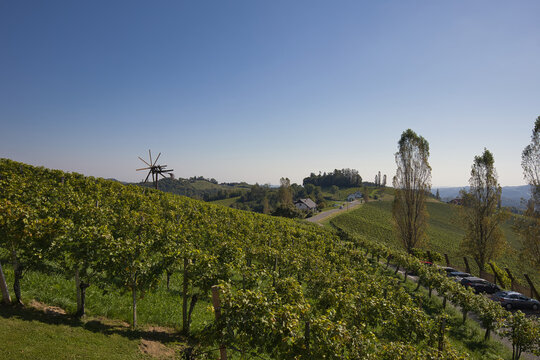 Landscape in the Austrian vineyards in Styria.