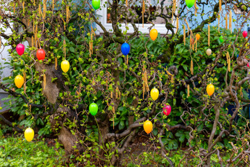 eggs as easter decoration on a bush