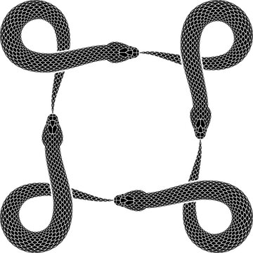 Vector tattoo design of four snakes bites tails in the form of bowen knot sign or command key symbol.  Isolated silhouette of square ouroboros character.