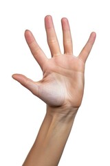 Woman hand holding grabbing or measuring something isolated on white background, with clipping path. Five fingers. Full Depth of field. Focus stacking. PNG, Generative AI 