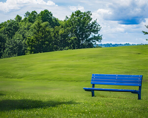a blue bench sitting on top of a lush green field