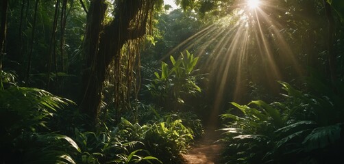 Sunlight Streaming through Dense Jungle Foliage