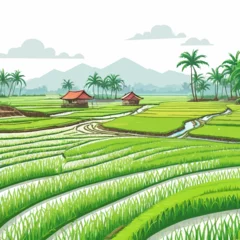  Ricefield Cartoon Design Very Beautiful © BAIM