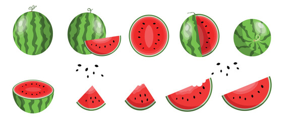 Vector Watermelon collection isolated on white background. Fresh watermelon fruit set design elements. Fresh whole, cut and sliced watermelon set Juicy fruit. Vector design elements or background.