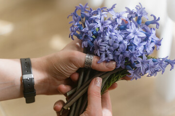 A bouquet of field blue flowers in the hands of a girl. Mouse hyacinth.