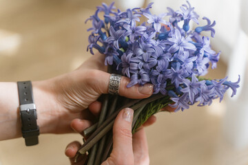 A bouquet of field blue flowers in the hands of a girl. Mouse hyacinth.