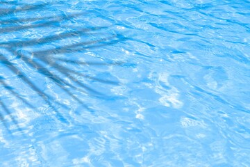 Concept of summer holiday or beach vacation background with palm leaf shadow on blue water surface....