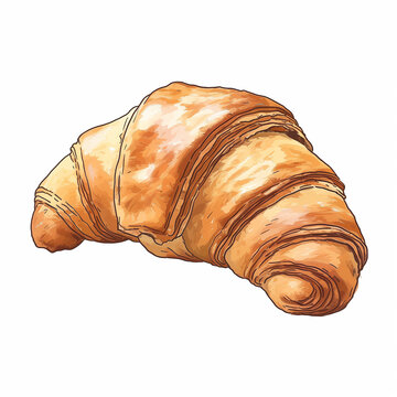 Drawing of croissant dessert on a white background.