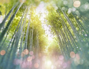 Landscape with a sunlit path in beautiful bamboo forest. Pastel colours, bokeh light.  