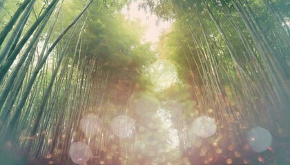 Landscape with a sunlit path in beautiful bamboo forest. Pastel colours, bokeh light. 