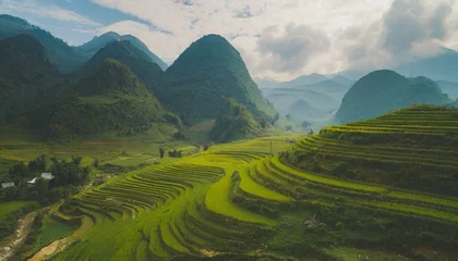 Fotobehang Beautiful green landscape with rice fields terraces, mountains in background.  © Kati Lenart