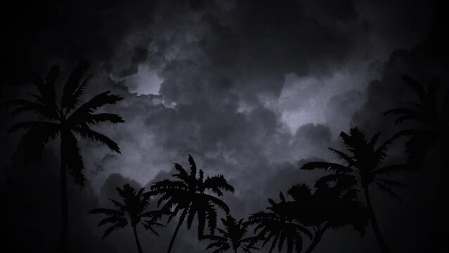 A dramatic black and white photo of three palm trees against a stormy sky, with lightning brightening the clouds