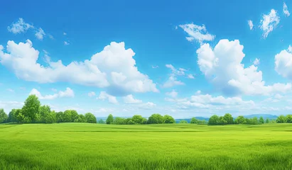 Poster Panoramic View of a Beautiful Green Lawn with Blue Sky and Clouds, Wide Angle View of a Grass Field with Trees, Nature Park or Garden on a Sunny Day  © Yi