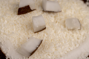 white coconut pulp and dried coconut flakes
