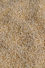 scattered white quinoa seeds, close up