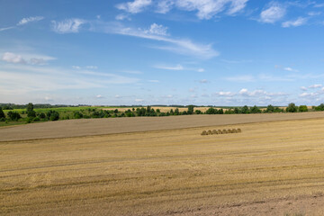 straw stacks in the field after the grain harvest