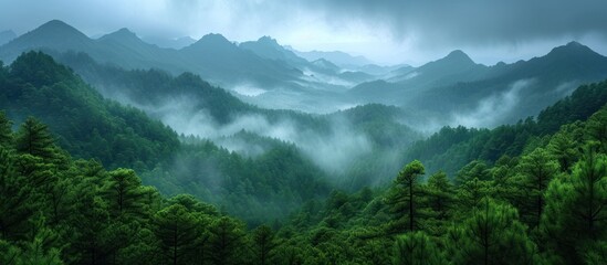 green forest with natural landscape of mountains with cloudy sky