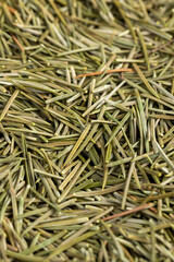 sharp dry needles from the Christmas tree