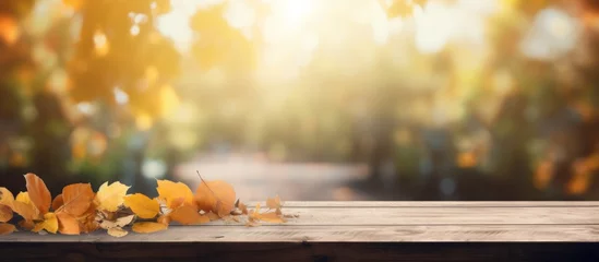 Outdoor kussens A wooden table adorned with vibrant autumn leaves sits against a blurry background, creating a natural landscape with tints and shades of orange and brown © AkuAku