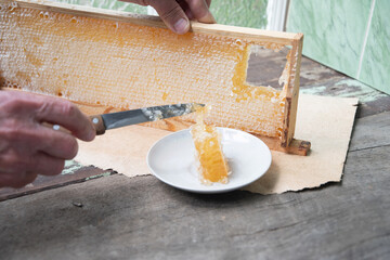 man cuts honeycombs from a honey frame with a knife for eating for tea, honey in honeycombs is good...