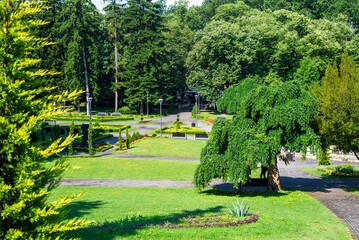 Public park with lush trees, lawns and bushes in summer - Vrnjacka Banja, Serbia