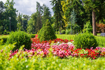 Public park with lush flowers, trees and bushes in summer - detail