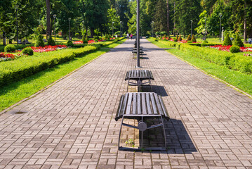Public park with its benches, lush flowers, trees and bushes in summer