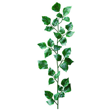 stem brench with small leaves twisting around in a straight line