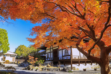 奈良　當麻寺　奥院　阿弥陀堂の紅葉　横位置２