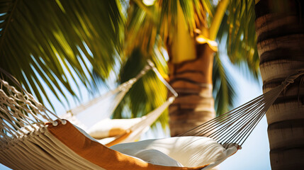 hammock on the tropical island.