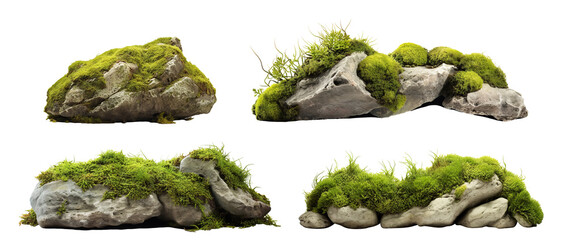 Obraz premium Set of moss-covered rocks in natural settings, cut out