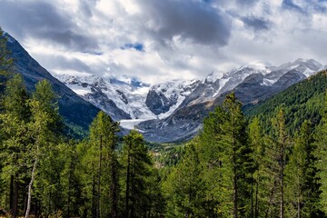Scenic view of a lush verdant valley from the Bernina Express in Switzerland.