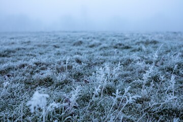 Scenic view of frozen grass on a field in winter