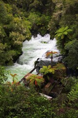 Awe-inspiring vertical shot of the stunning Kaituna waterfall near Rotorua, New Zealand