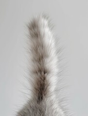 A highly detailed close-up shot of a fluffy cat tail isolated on a white background, showcasing the soft texture and unique patterns of feline fur
