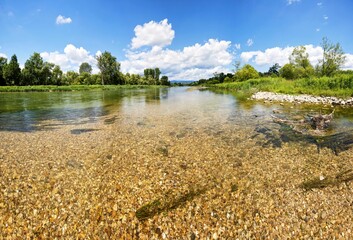 Tranquil body of clear water surrounded by lush greenery. Moos, Deggendorf, Bavaria, Germany.