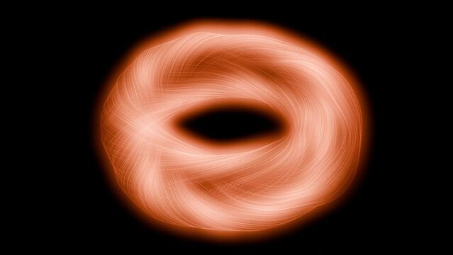 Twisted Magnetic Torus, Looping animation, repeats infinitely.
