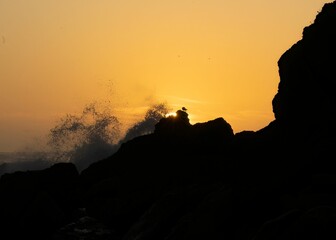 Silhouetted bird atop a rocky outcropping facing a seascape lit by an orange-hued sunset