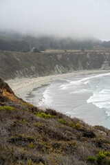 Closeup of  North California Beach, on a Foggy Summer Day