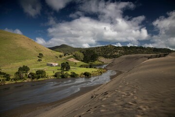 Bethells Beach sand dunes near Auckland