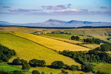 Aerial shot of rural farmland with hills of green and yellow foliage in Brecon Beacons, Wales, UK