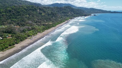 Aerial view of an idyllic Caribbean beach with a lush, green forest bordering a bright blue ocean