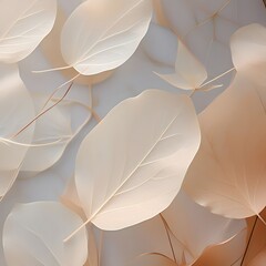 whit spring transparent leaves 