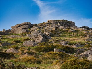 Fototapeta na wymiar Scenic view of rock formations at Dartmoor National Park, United Kingdom
