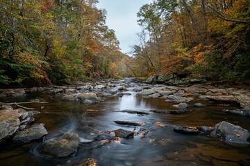 Sope Creek stream winding through a rocky landscape during fall,  Mareitta, GA