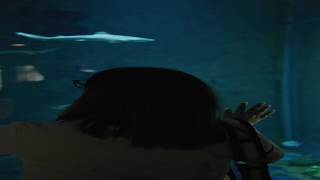 A silhouette of a woman observing sharks swimming in a dimly lit underwater aquarium setting