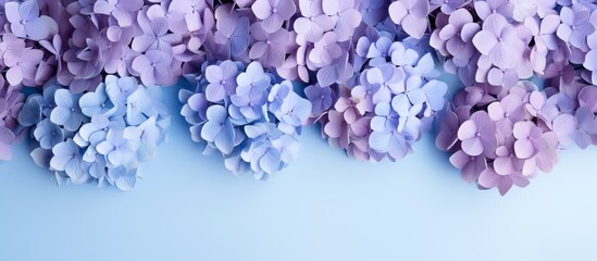 A vibrant display of violet petals accentuates the electric blue background, creating a stunning...