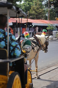horse-drawn carriage in malioboro yogyakarta